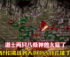 1.85 版本 BOSS 卡位打法，道士单撸 BOSS 详解！